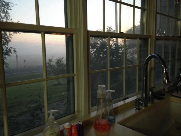 kitchen-window